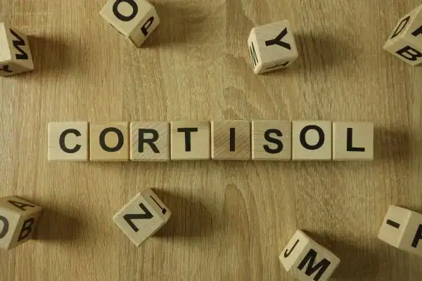 The Hidden Connection: How Stress Shapes Your Fitness and Body Composition 2 Image saying "Cortisol" and how stress Wivenhoe impacts your wellbeing and bodies shape